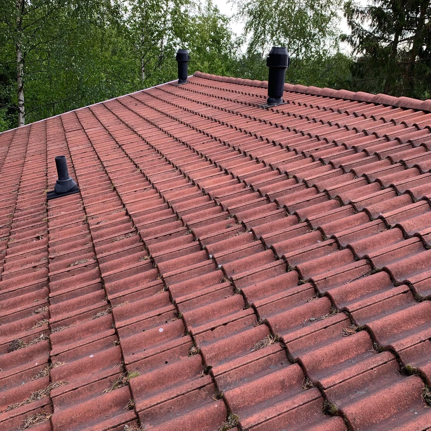 Tiilikaton pesu tehty vanhalle tiilikatolle. Punainen tiilikatto.